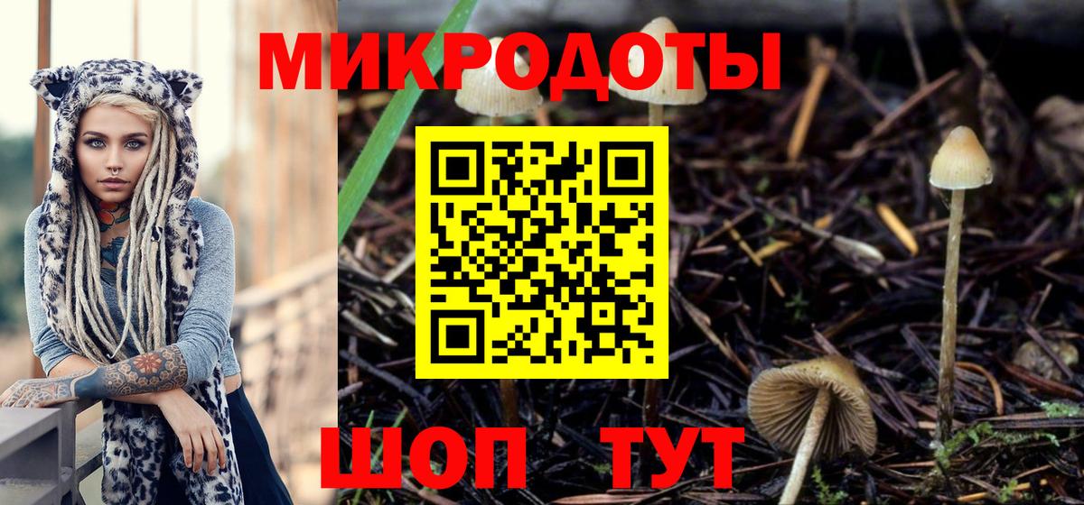 Псилоцибиновые грибы Magic Shrooms  Вход с VPN  Кисловодск 